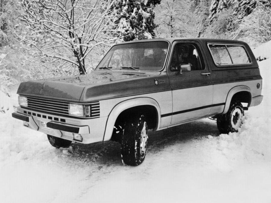  Bitter Blazer 1976 года  (фото 2 из 2)